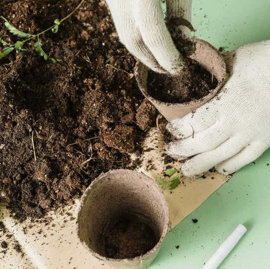 Unleash Your Green Thumb: Gardening Tips and Tricks for the Whole Family
